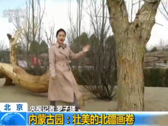 【魅力世園會(huì)】?jī)?nèi)蒙古園:壯美的北疆畫卷