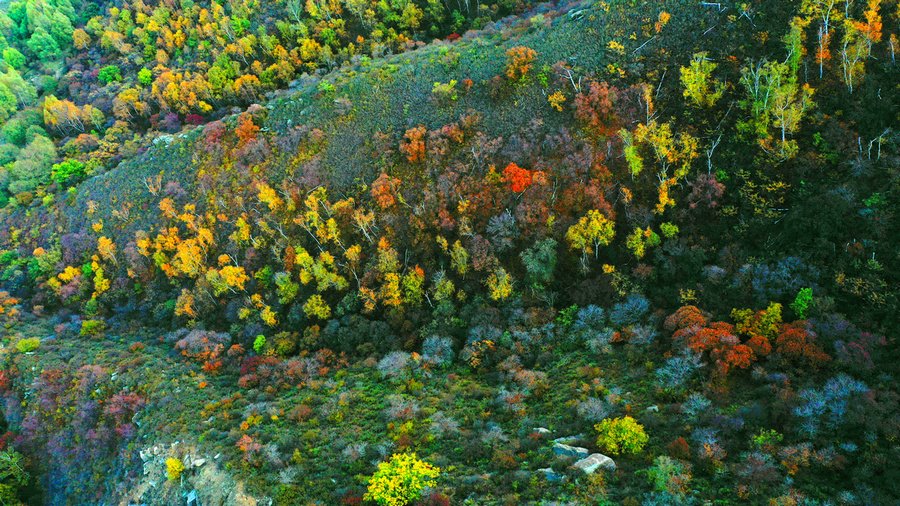 飛閱內蒙古 航拍小井溝