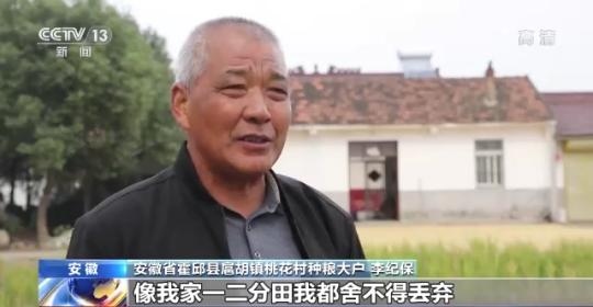 十八連豐！秋收近九成 我國(guó)糧食產(chǎn)能穩(wěn)步提升