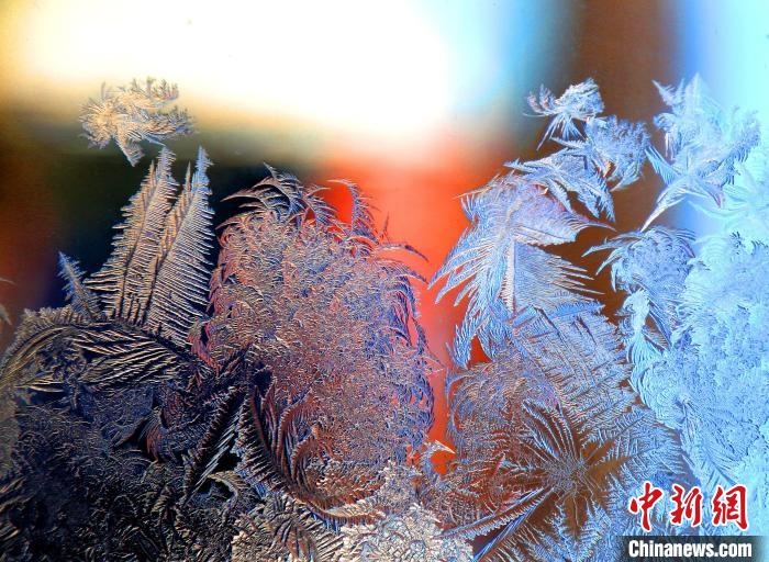 惟妙惟肖的冰窗花，似一幅風(fēng)景畫?！O書程 攝