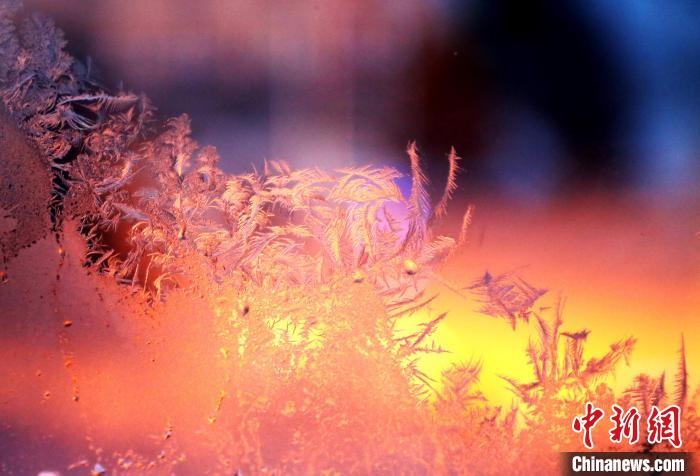 迎著光亮，冰窗花絢麗多姿。　孫書程 攝