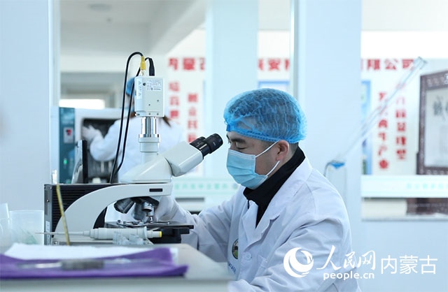 內(nèi)蒙古中農(nóng)興安種?？萍加邢薰韭鋺艨朴抑衅欤瑸槿馀．a(chǎn)業(yè)發(fā)展提供了優(yōu)質(zhì)的種源保障。白俊華攝