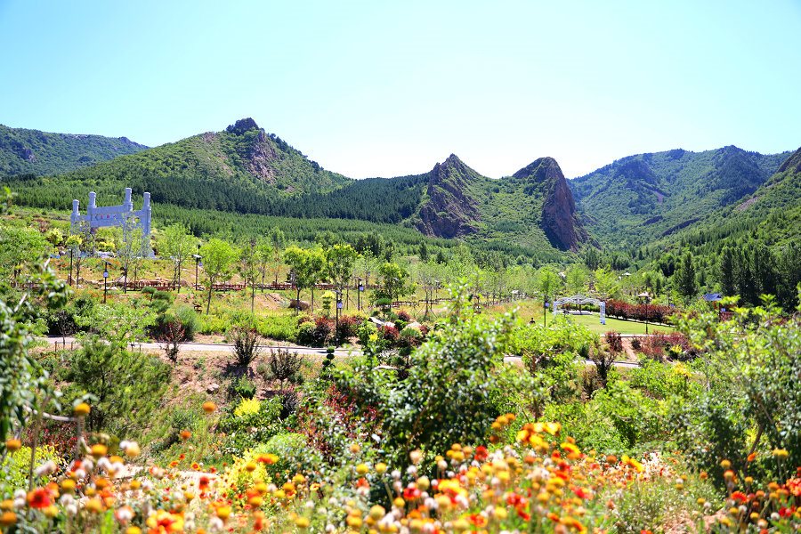 1597161277894592.jpg 7O5A0833.JPG