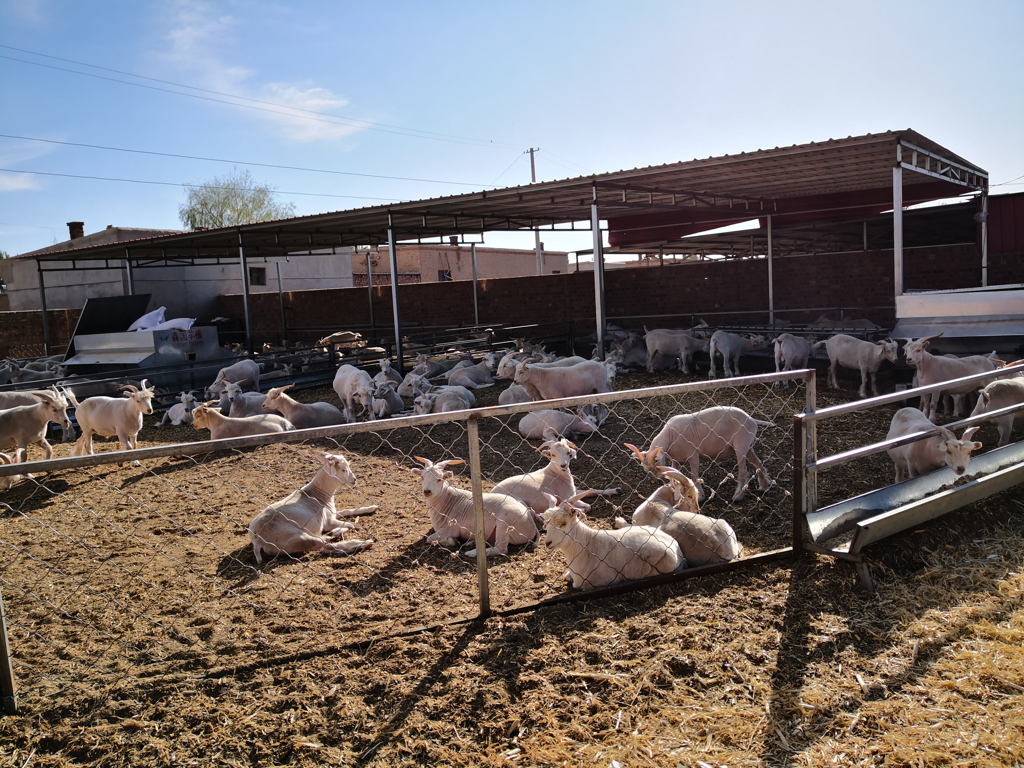 1597396691279466.jpg 微信圖片_20200814171722.jpg