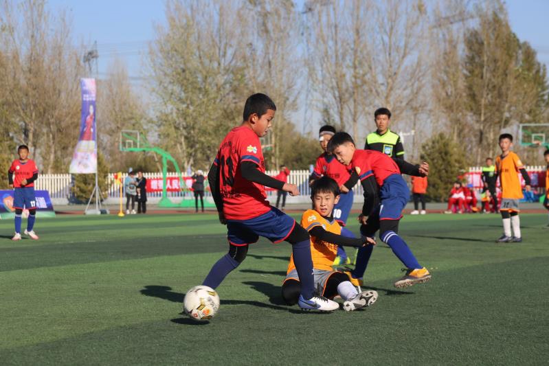 1603464833884101.jpg 微信圖片_20201023225301.jpg