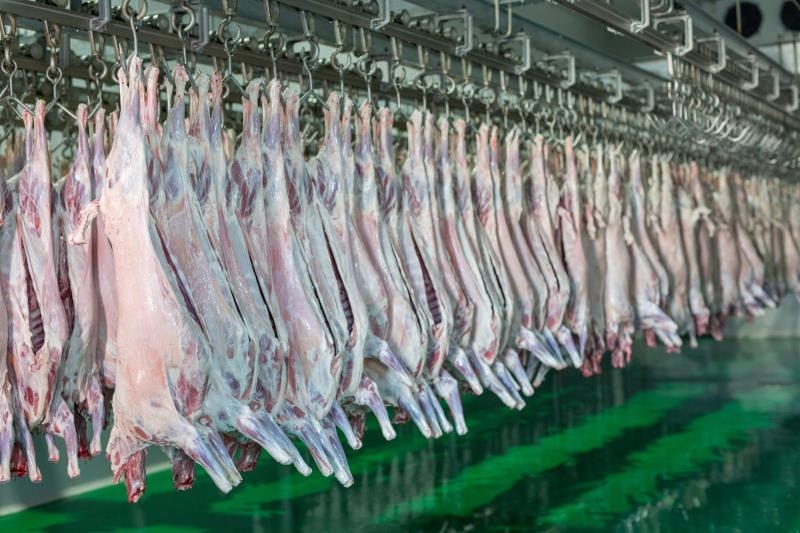 1630376812414307.jpg 微信圖片_20210831102051.jpg