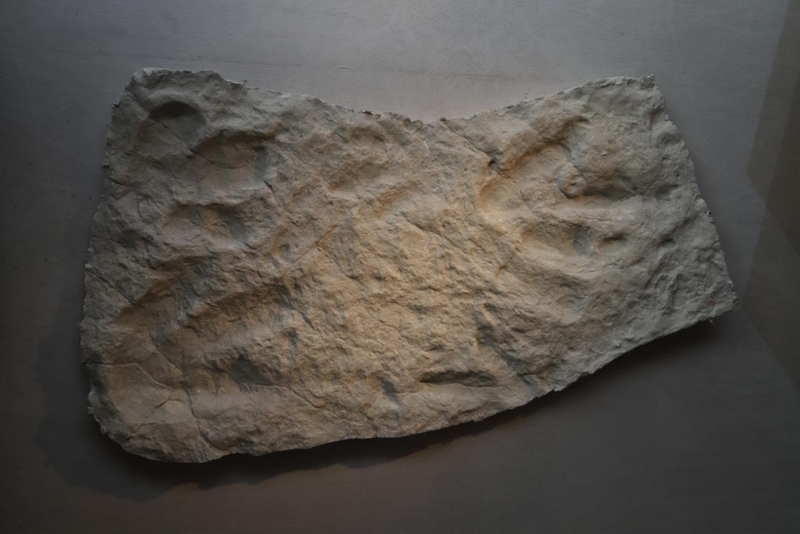 1648201042121775.png 圖片1.png