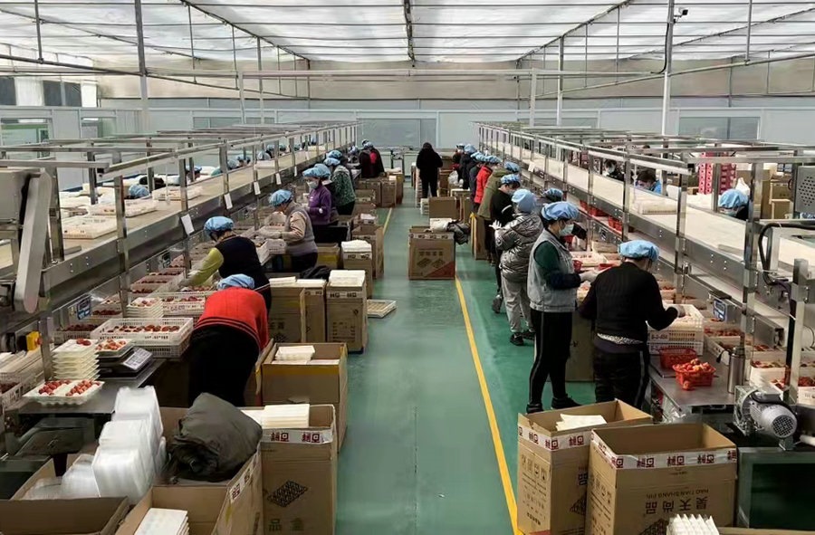 1648810423509195.jpg 微信圖片_20220401184248.jpg