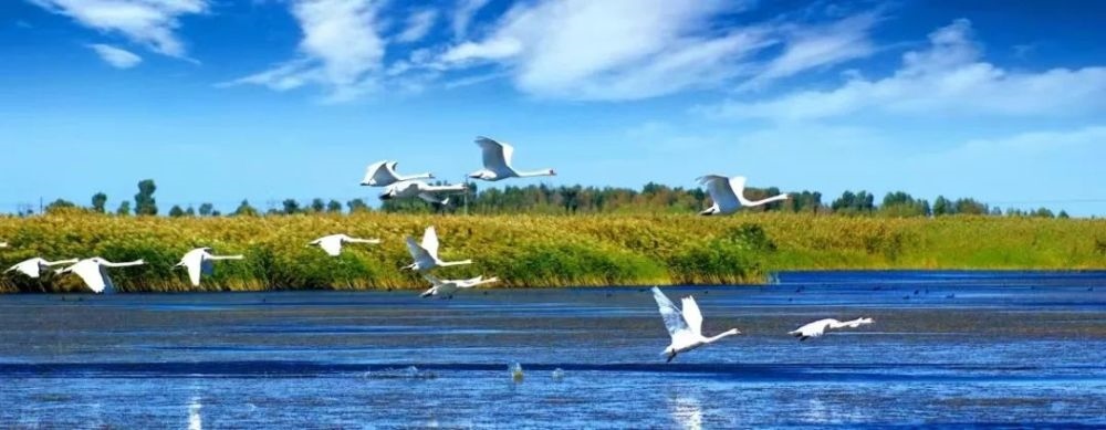 1652671570660451.jpeg 7311CCFC92F172DF2893E2C1D5341DDF.jpeg