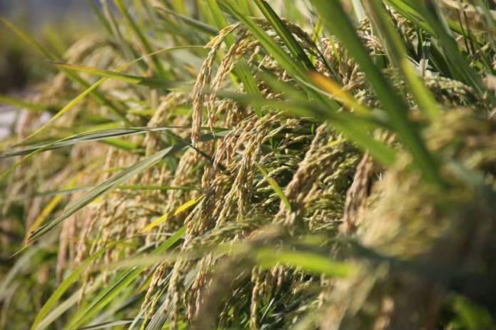 1661665418939641.png 微信圖片_20220828134056.png