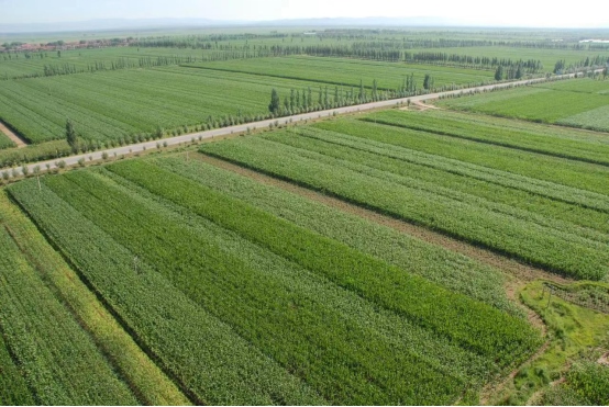 1675156038460138.png image.png