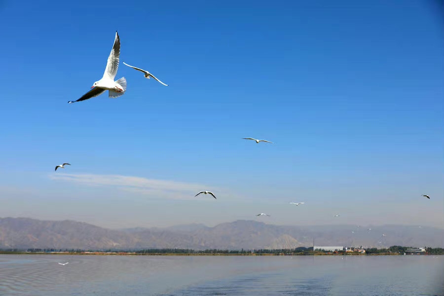 1682423614143597.jpg 624d3d44ly1h6inllg5ykj20p00go0sv.jpg