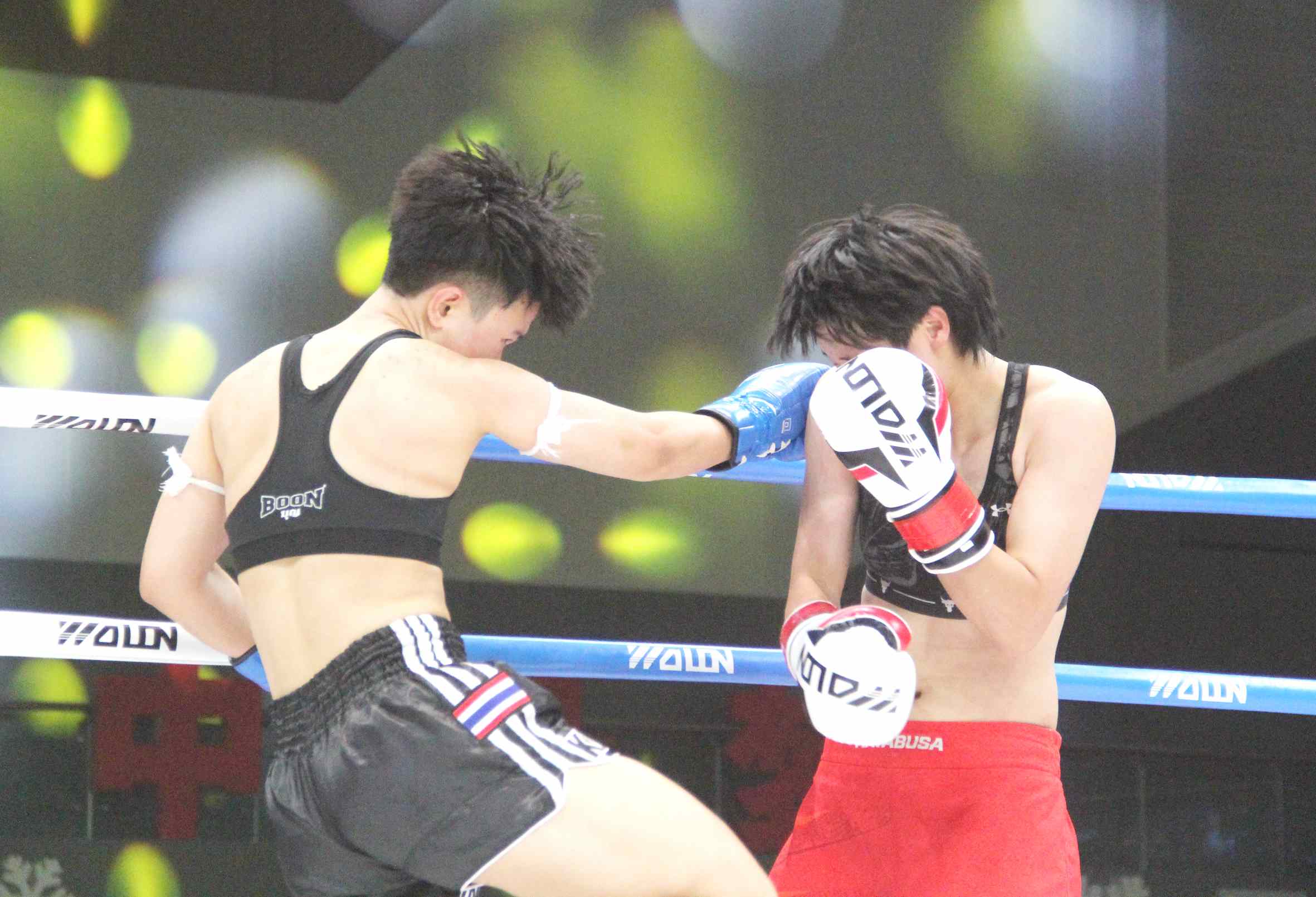 1690113953388146.jpeg 1690113953388146.jpeg