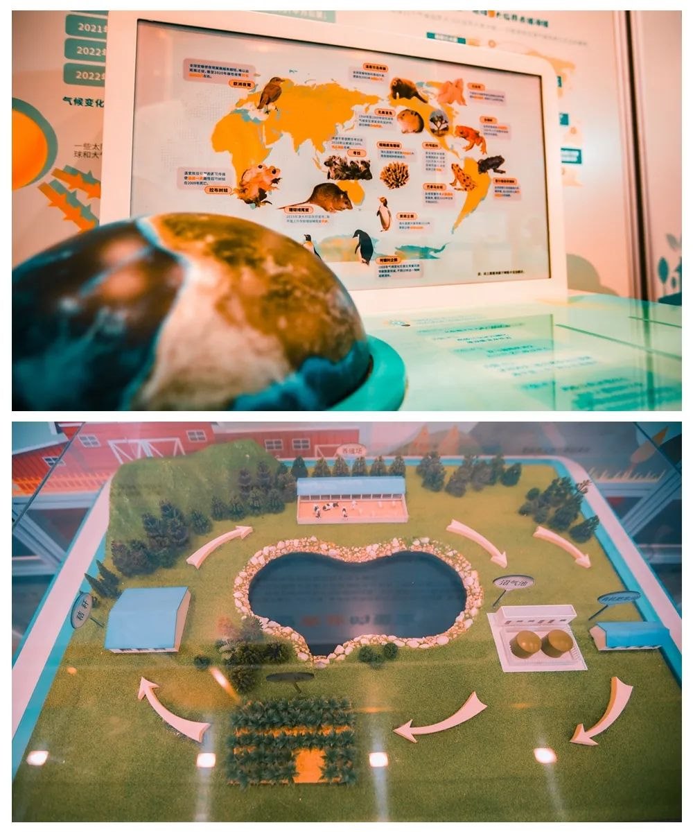 1690191513434620.jpg 640 (2).jpg