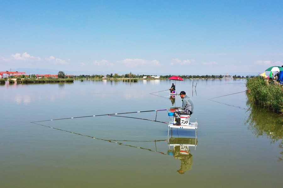 1693062353817345.jpg DJI_0866.jpg