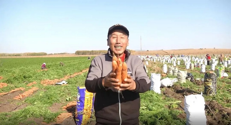 1698118215111456.png 1.png