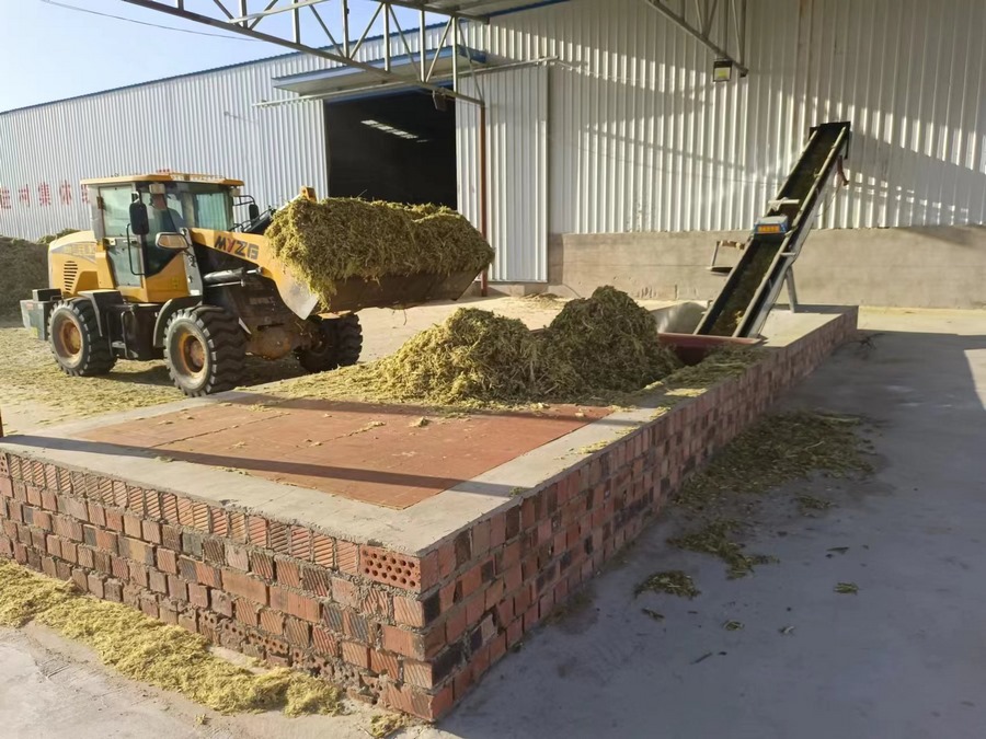 1708568700587642.png 3.png