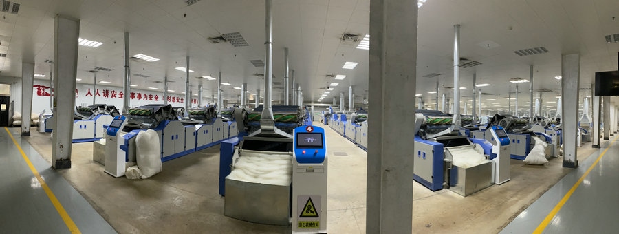 1718589299589363.jpg _K4I9674(1).JPG