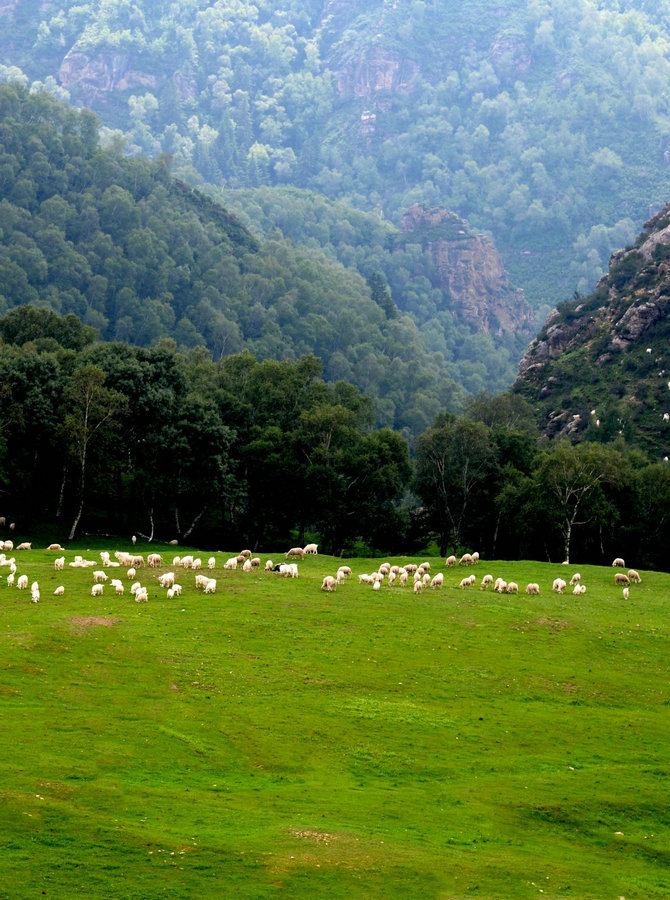 1735285702508506.jpg 0c96229ba7c836090d159a55636e285.jpg