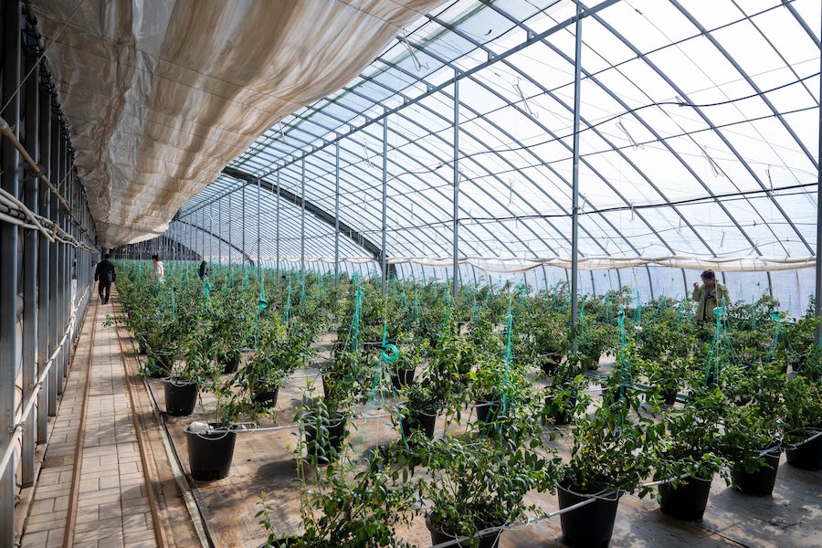 1740748334499771.jpeg WechatIMG3007.jpeg