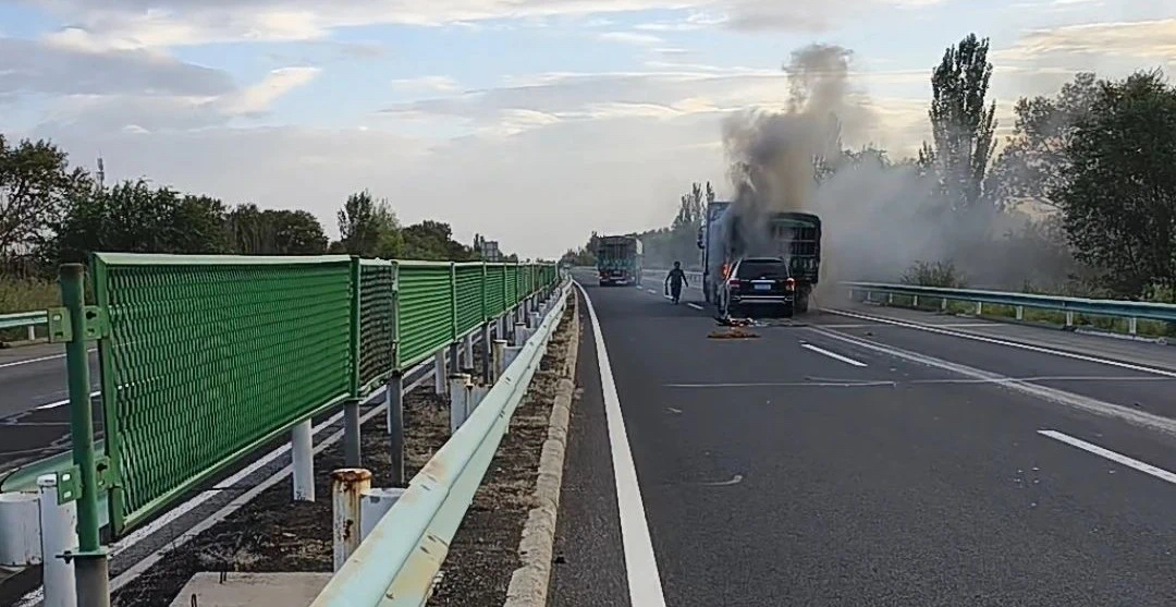 1742350147604166.jpg _DSC2271.JPG