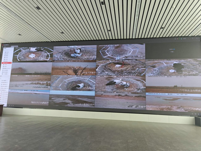 1744852544103715.jpg 東營3.jpg