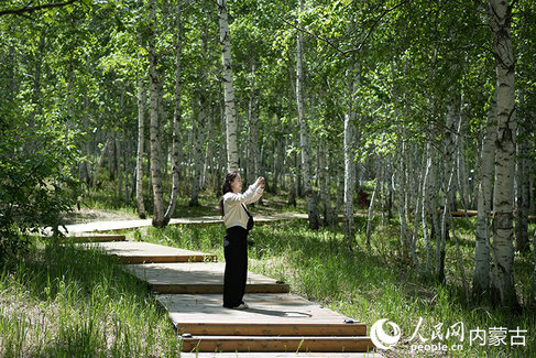 1752799127177549.jpg 臨海5.jpg