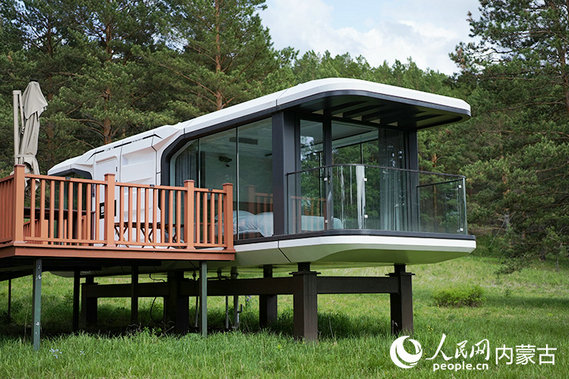 1752800021712821.jpg 松子7.jpg