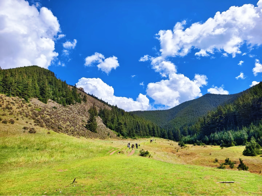 1753587939148760.png 阿拉善1.png