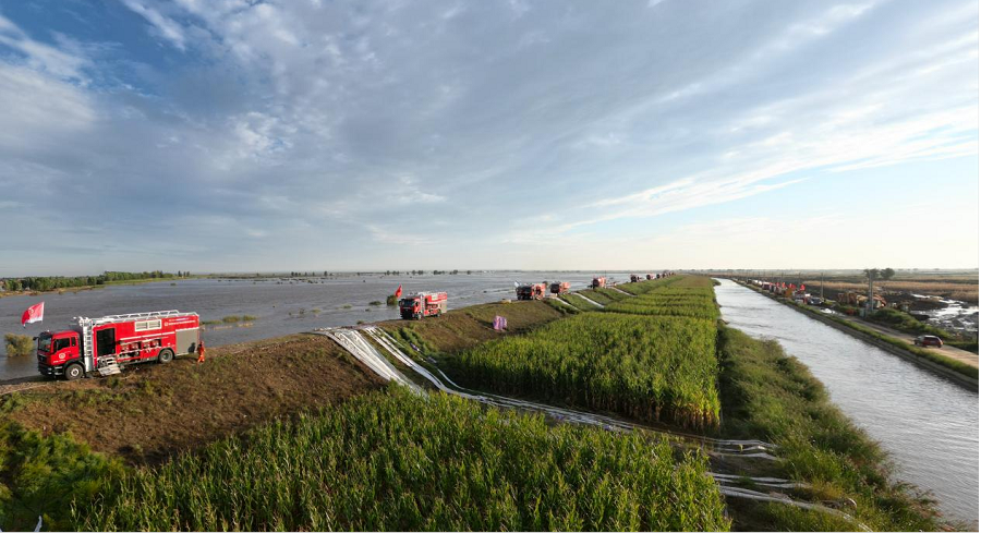 1756030261119671.png 003.png