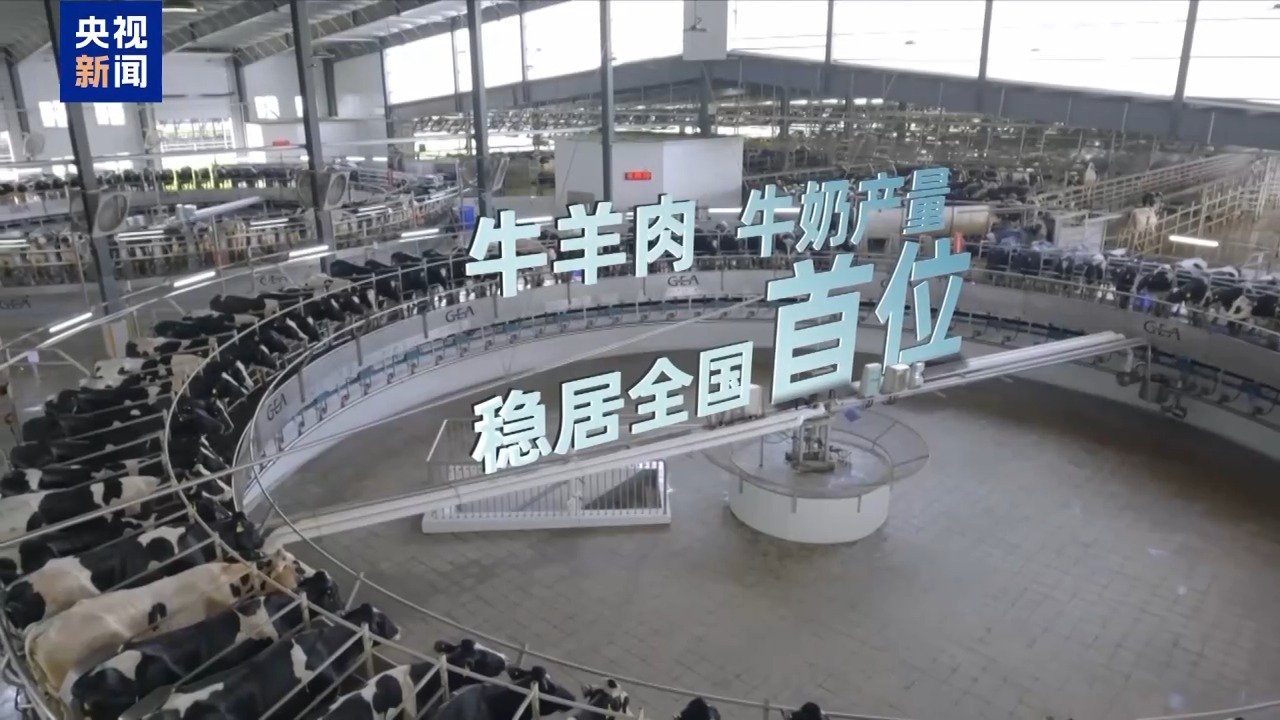 1757838166360907.jpeg 822edceed6974f058c24a4b53886bc9e.jpeg