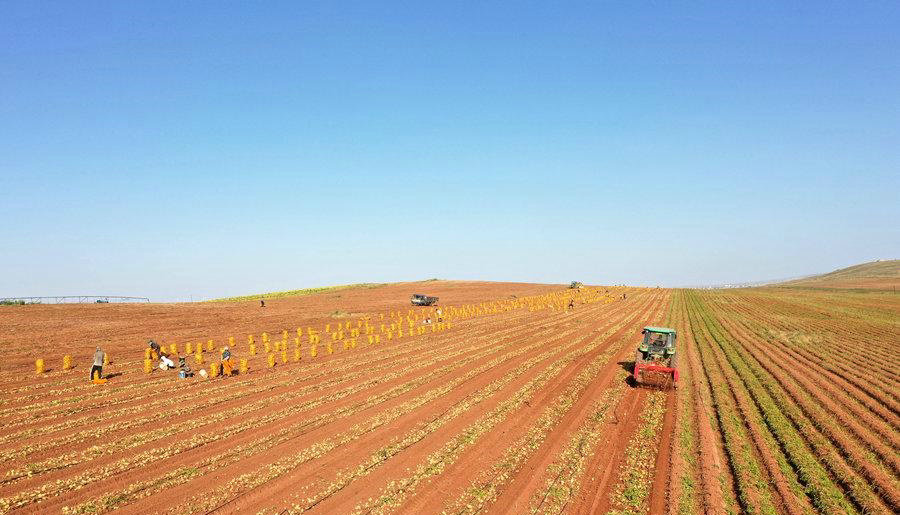 1762223539791354.jpg 7-1B3H0H6-5U3.jpg