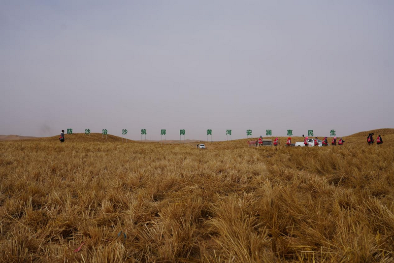 1772265227764459.png 阿拉善活動(dòng)現(xiàn)場(chǎng)1.png