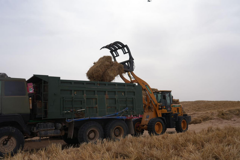 1772265359559843.png 阿拉善機(jī)械作業(yè).png