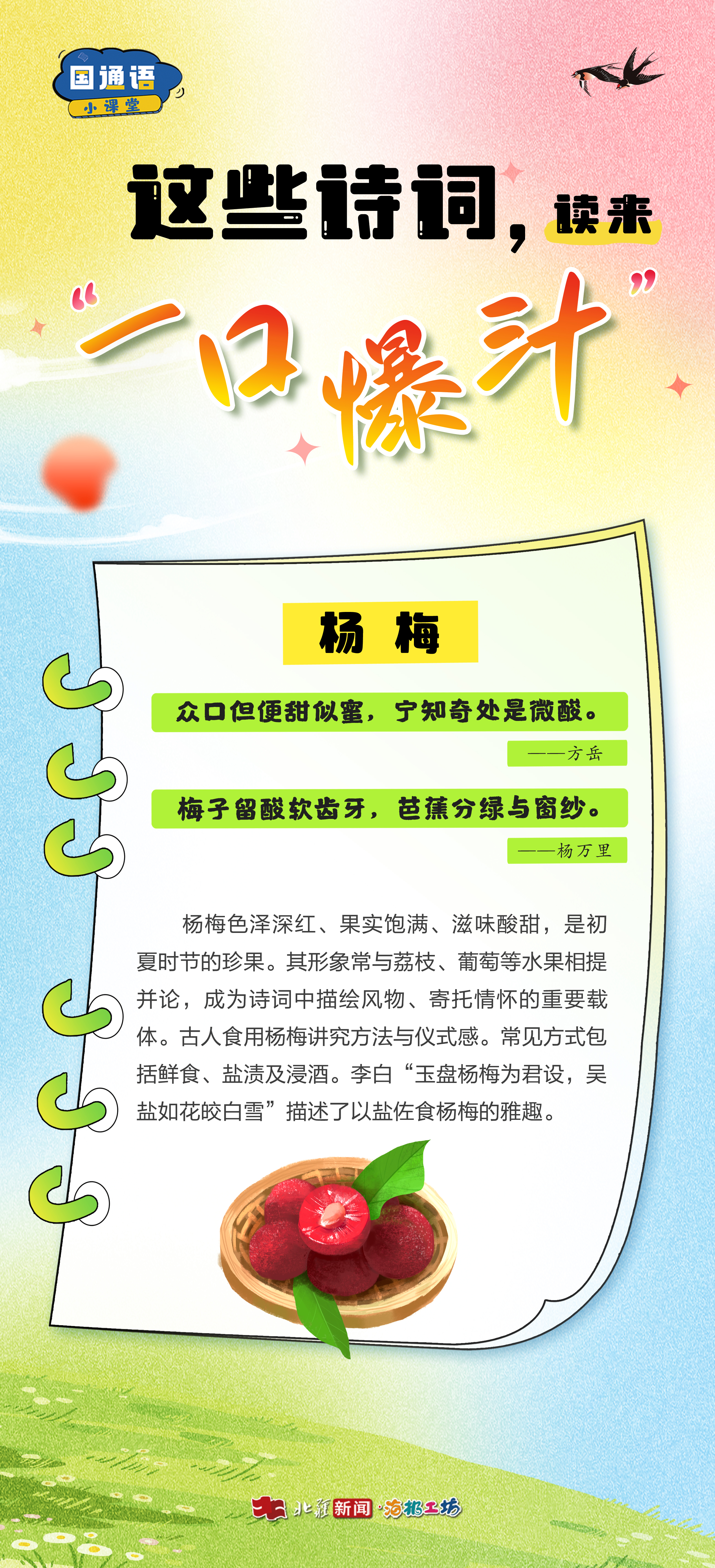 1778571380456567.jpg 楊梅.jpg