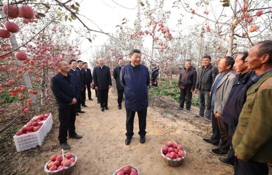 2022年10月26日，習近平總書記在陜西省延安市安塞區(qū)高橋鎮(zhèn)南溝村蘋果園同老鄉(xiāng)們親切交流。