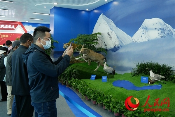 6月17日，觀眾正在觀展。人民網(wǎng) 韋衍行攝