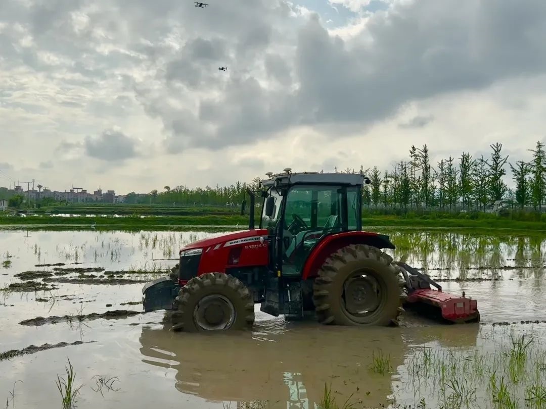 浙江省金華市東陽市城東街道寀盧村的一臺無人駕駛耕地機。靜玄 攝