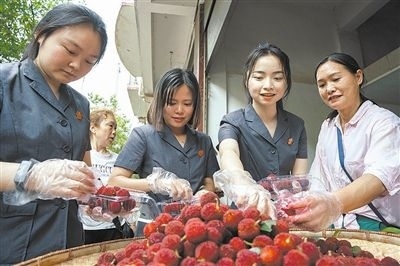 志愿者和村民一起將摘下的楊梅裝進(jìn)食品盒里。