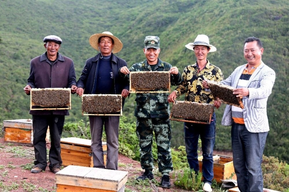 ↑武警四川總隊(duì)涼山支隊(duì)精準(zhǔn)幫扶昭覺(jué)縣梭梭拉打村發(fā)展養(yǎng)蜂產(chǎn)業(yè)，總隊(duì)駐村扶貧干部布哈（中）和村民一同展示豐收成果（2019年6月12日攝）。新華社發(fā)（楊劍 攝）