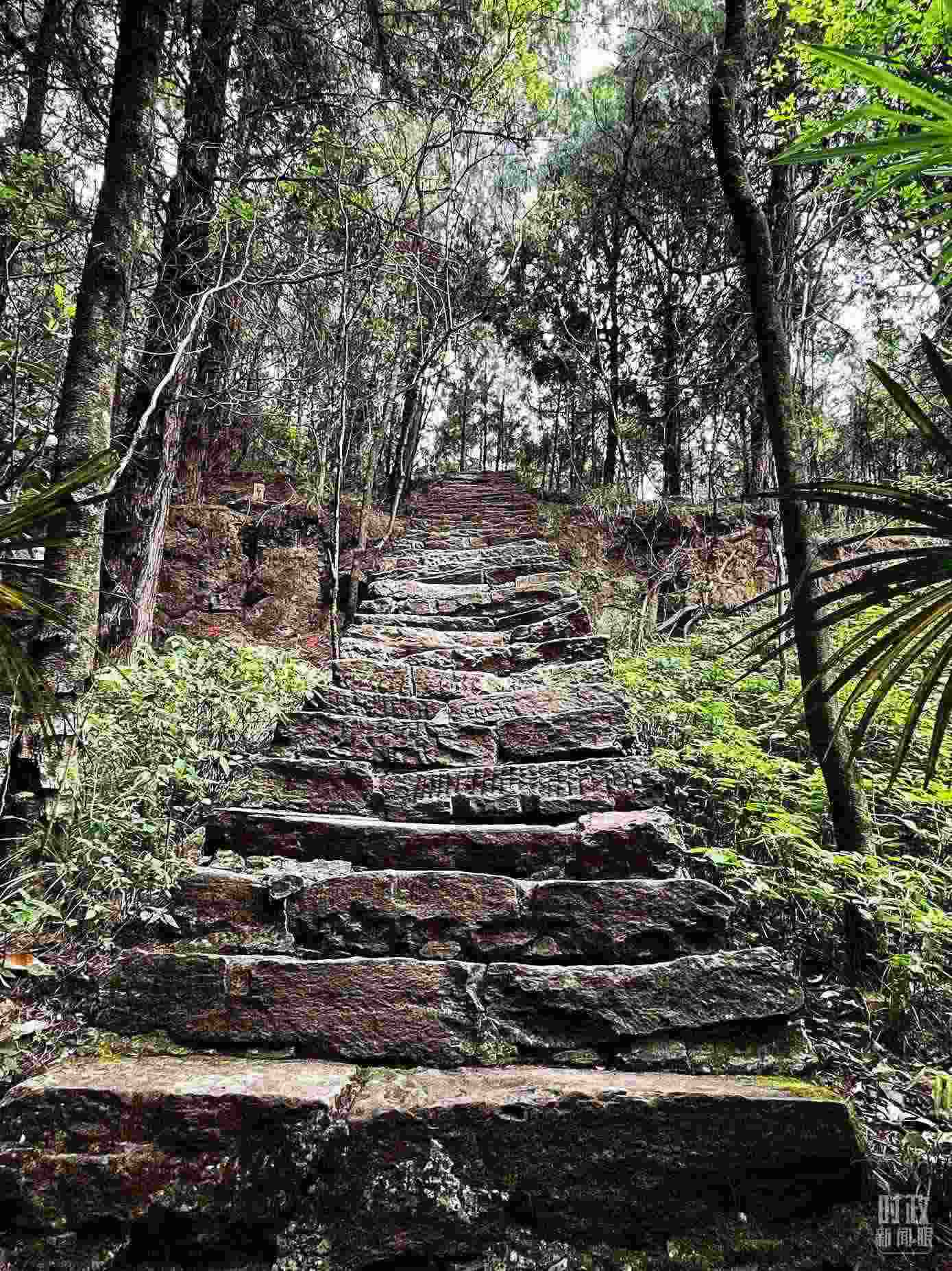 △古蜀道。（總臺央視記者郭曉龍拍攝）