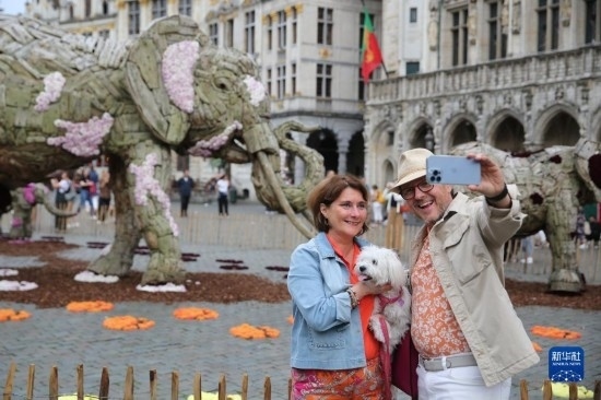 8月11日，觀眾在比利時(shí)布魯塞爾“鮮花時(shí)光”展覽上拍照。新華社記者 趙丁喆攝