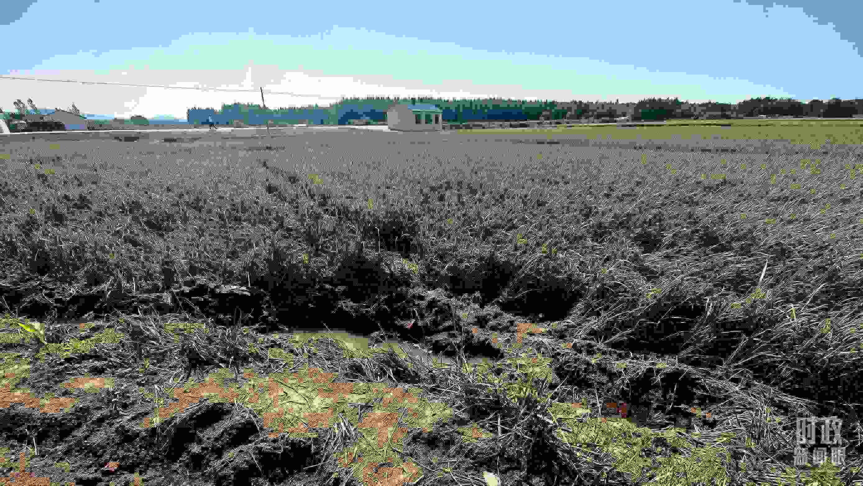 △圖為龍王廟村在洪災(zāi)中受損的農(nóng)田。（總臺(tái)央視記者史偉拍攝）