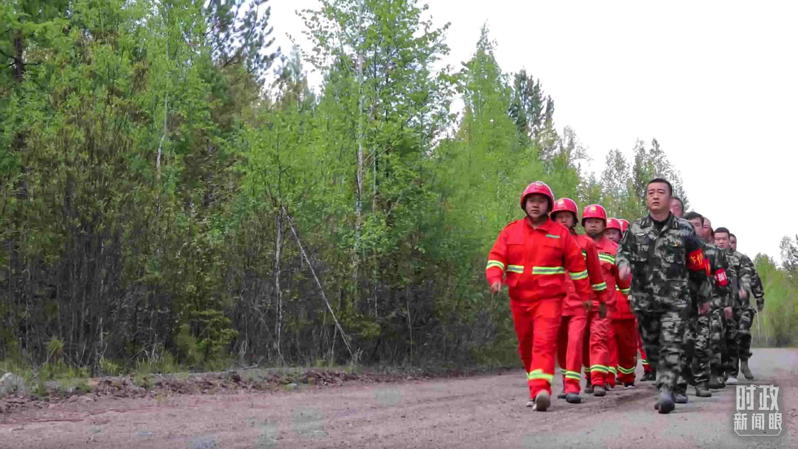 △林場里的森林巡護。
