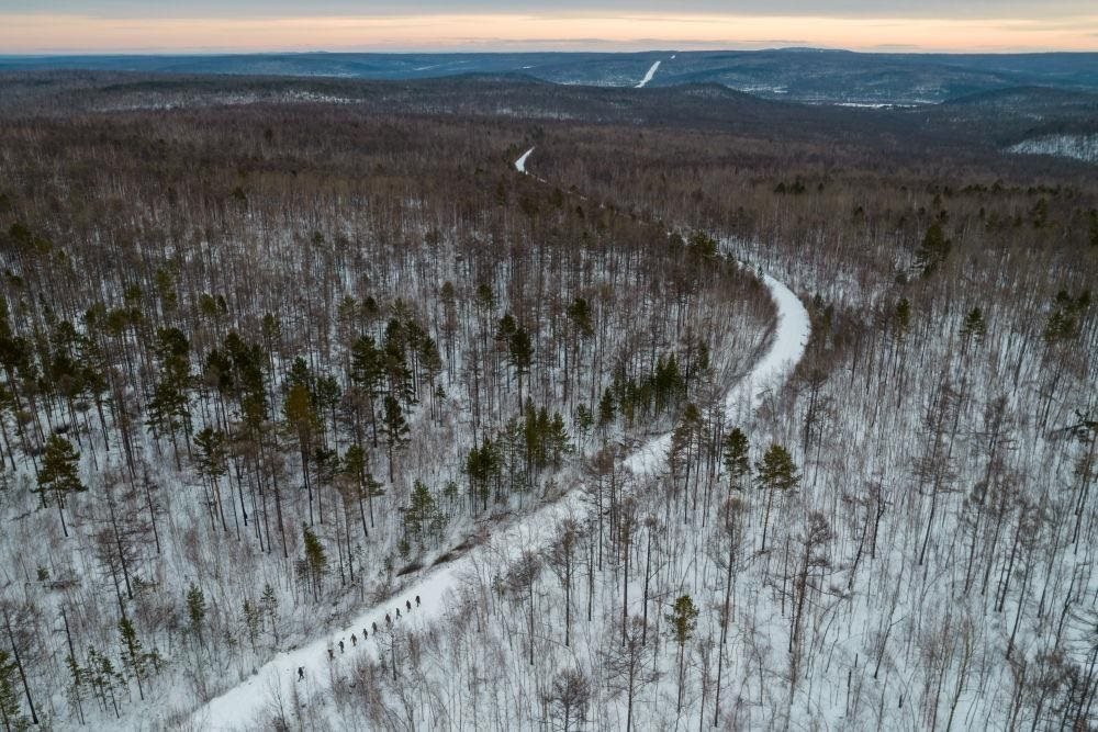 △2023年1月，漠河林場數(shù)十名職工自發(fā)組成的森林撫育隊伍，在人跡罕至的山林中作業(yè)。