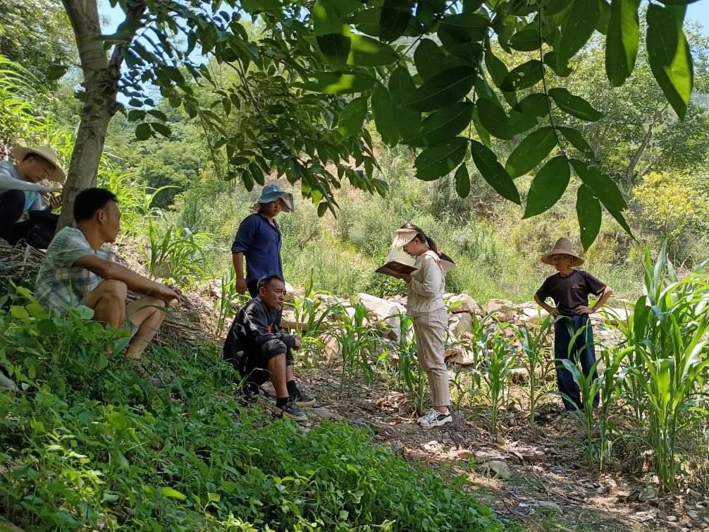 2023年7月18日，兩家村民發(fā)生土地方面的糾紛，李江女（右二）在記錄情況。受訪者供圖