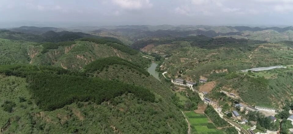 黃土溝壑中的高西溝村滿眼綠色（無(wú)人機(jī)照片，2023年7月26日）。新華社記者陳昌奇 攝