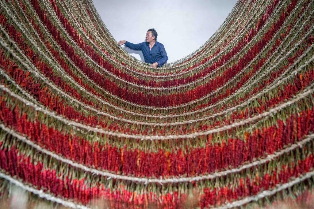 在貴州省畢節(jié)市大方縣理化鄉(xiāng)金雞村，村民查看辣椒烘干情況。新華社發(fā) 羅大富攝