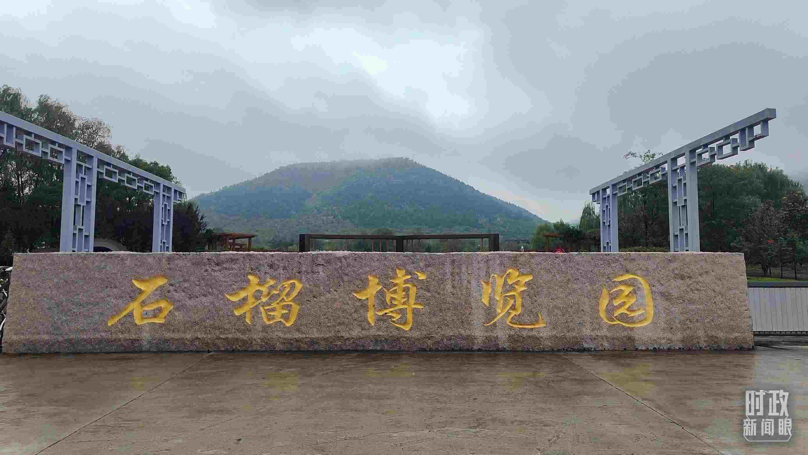 △石榴種質(zhì)資源庫位于石榴博覽園內(nèi)。（總臺央視記者楊立峰拍攝）