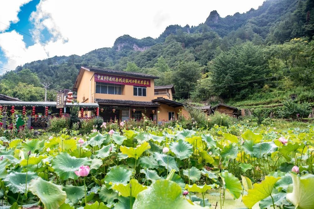 這是8月28日拍攝的華溪村村民開設(shè)的農(nóng)家樂外景。新華社記者 唐奕 攝